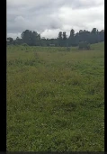 Земельный участок, площадью 2196 кв.м., кадастровый номер: 04:03:050301:8, земли населенных пунктов, для индивидуального жилищного строительства, расположенный по адресу: Республика Алтай , Турочакский р-н, Санькин Аил с, Центральная ул, дом 26